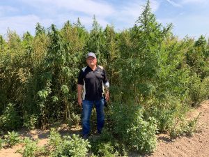 Bill touring a LIncoln University hemp research plot